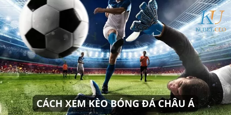Tổng hợp các cược Châu Á phổ biến nhất hiện nay 